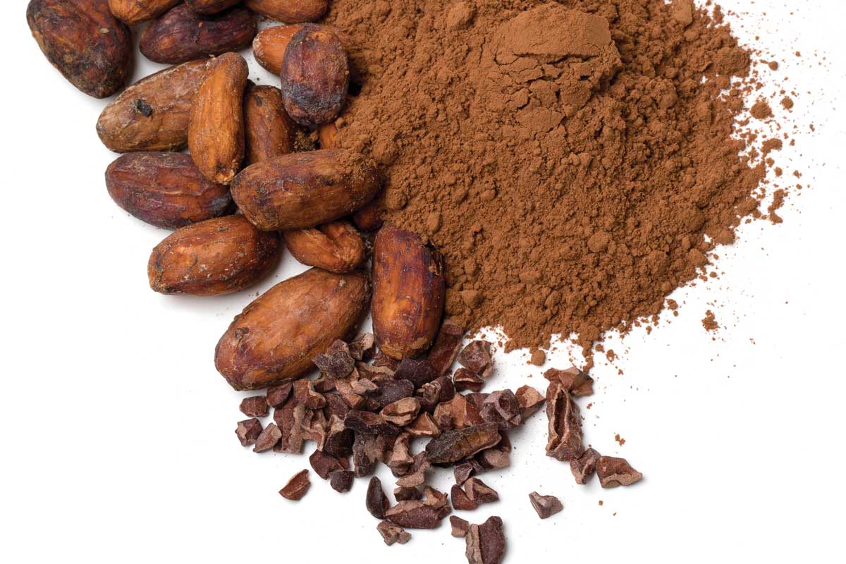 خرید آنلاین پودر کاکائو باکیفیت