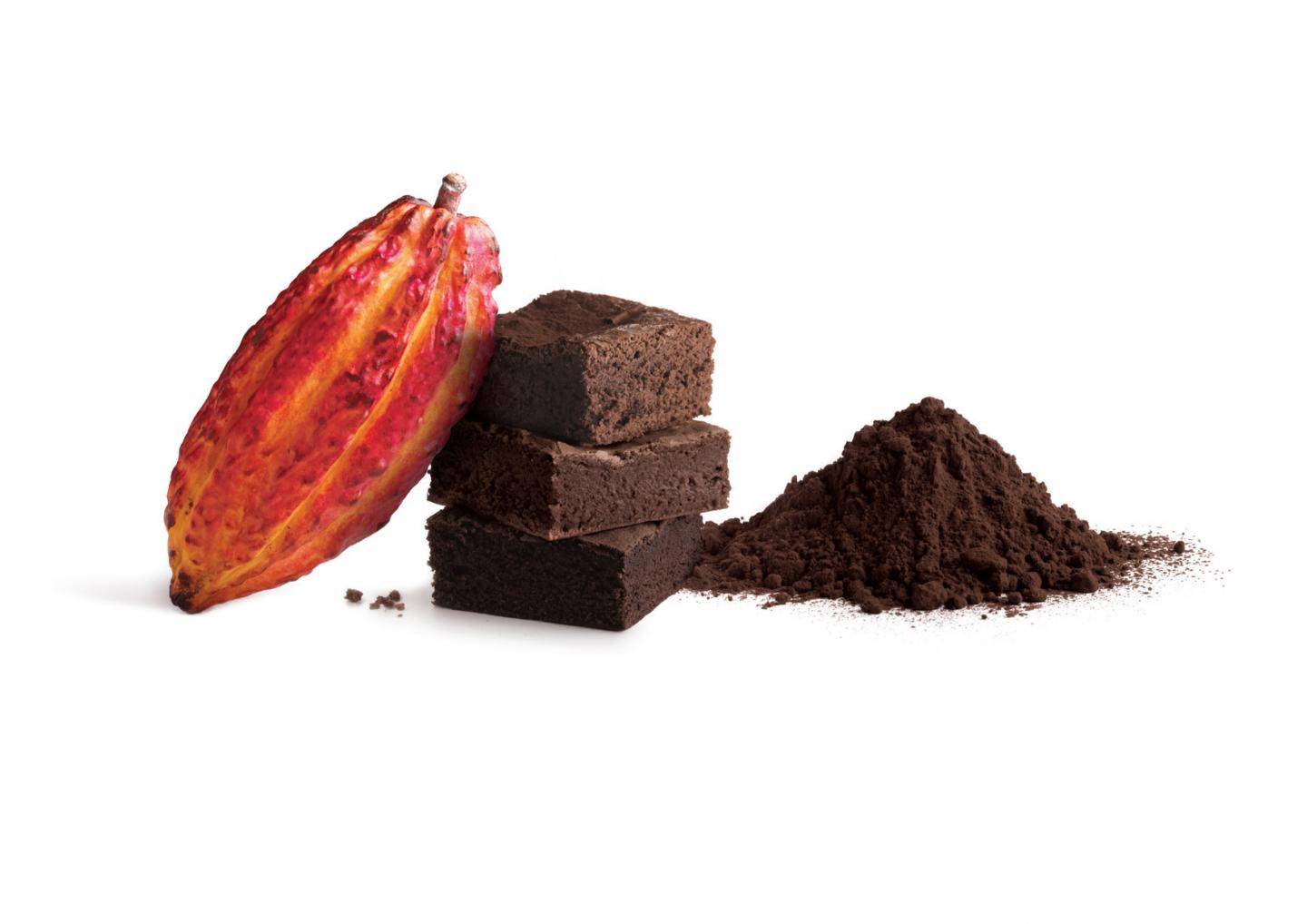 پخش عمده پودر کاکائو در بازار