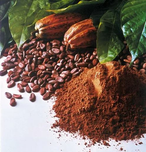 پودر کاکائو