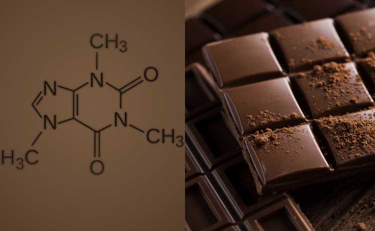 صفر تا صد فرمولاسیون شکلات در تولید شکلات صنعتی