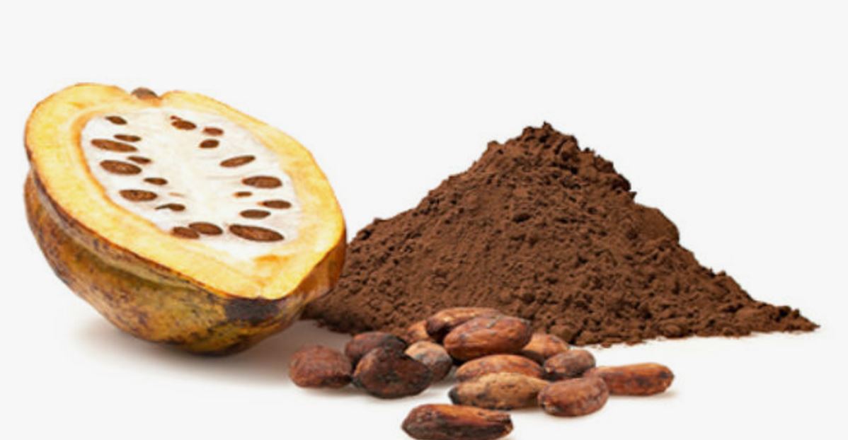 تاثیر پودر کاکائو بر دستگاه گوارش