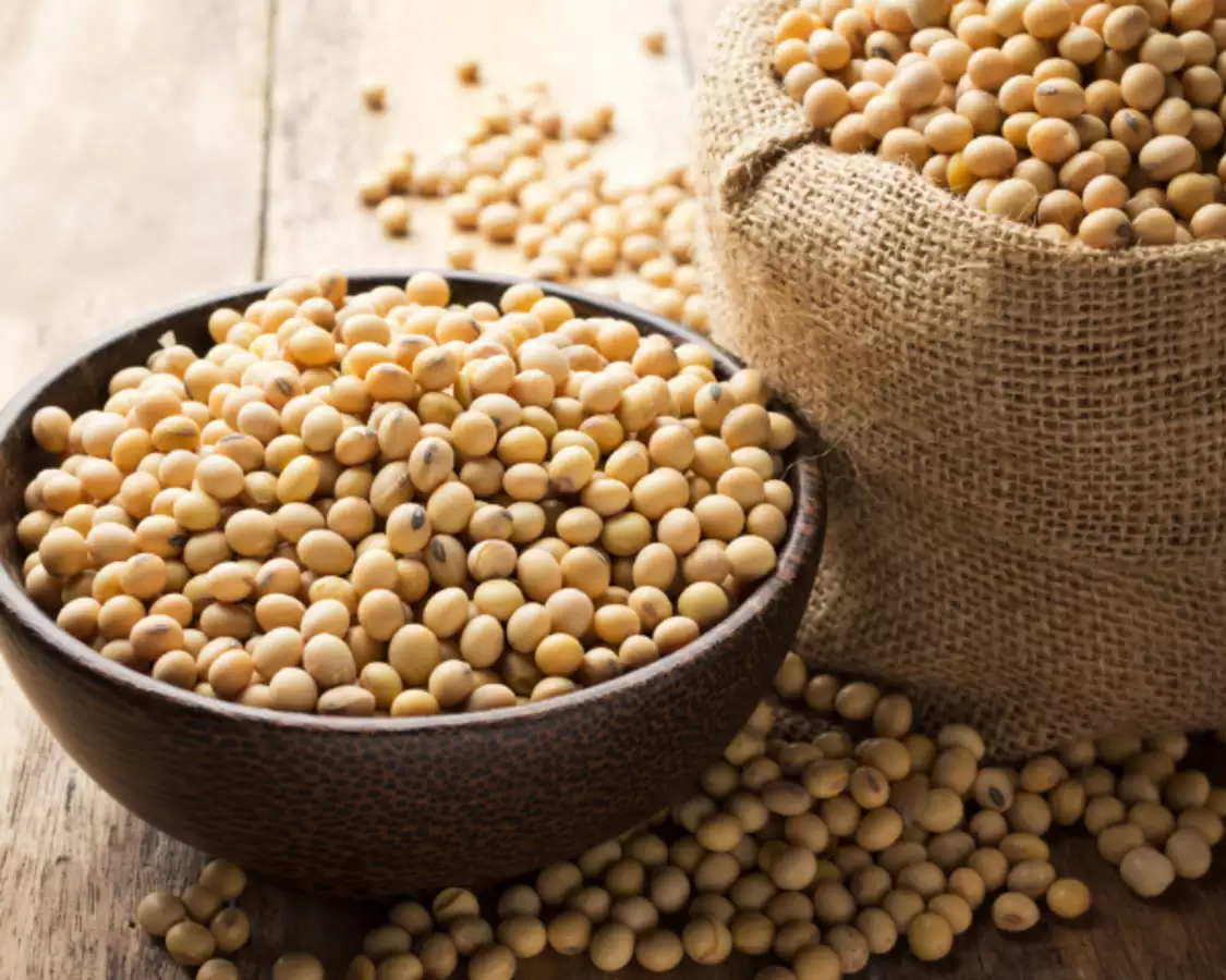 گوارگام و سلامتی: آیا مصرف آن بی‌خطر است؟ (بررسی علمی)